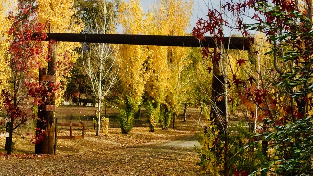 Photo of Others in Catheys Valley