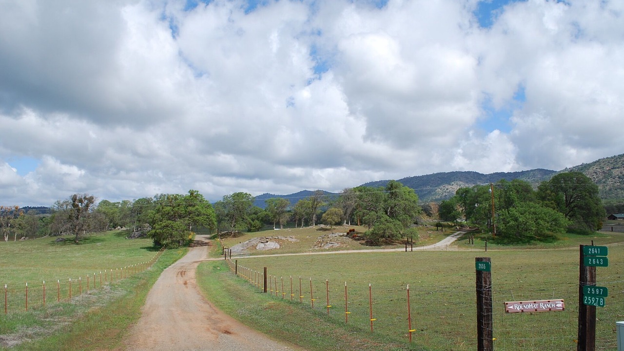Photo of Others in Catheys Valley