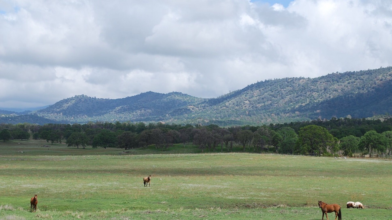 Photo of Others in Catheys Valley