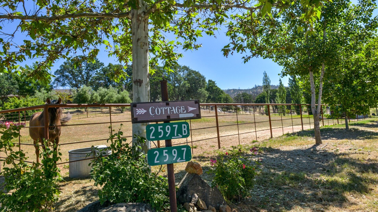 Photo of Others in Catheys Valley
