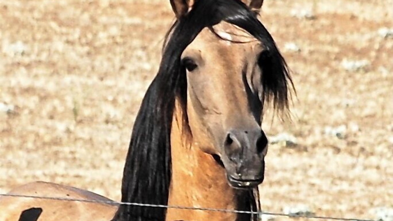 Photo of Others in Catheys Valley