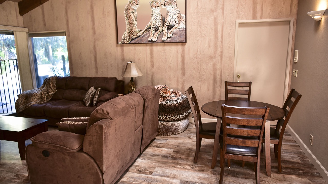 Photo of Livingroom in Mount Helix