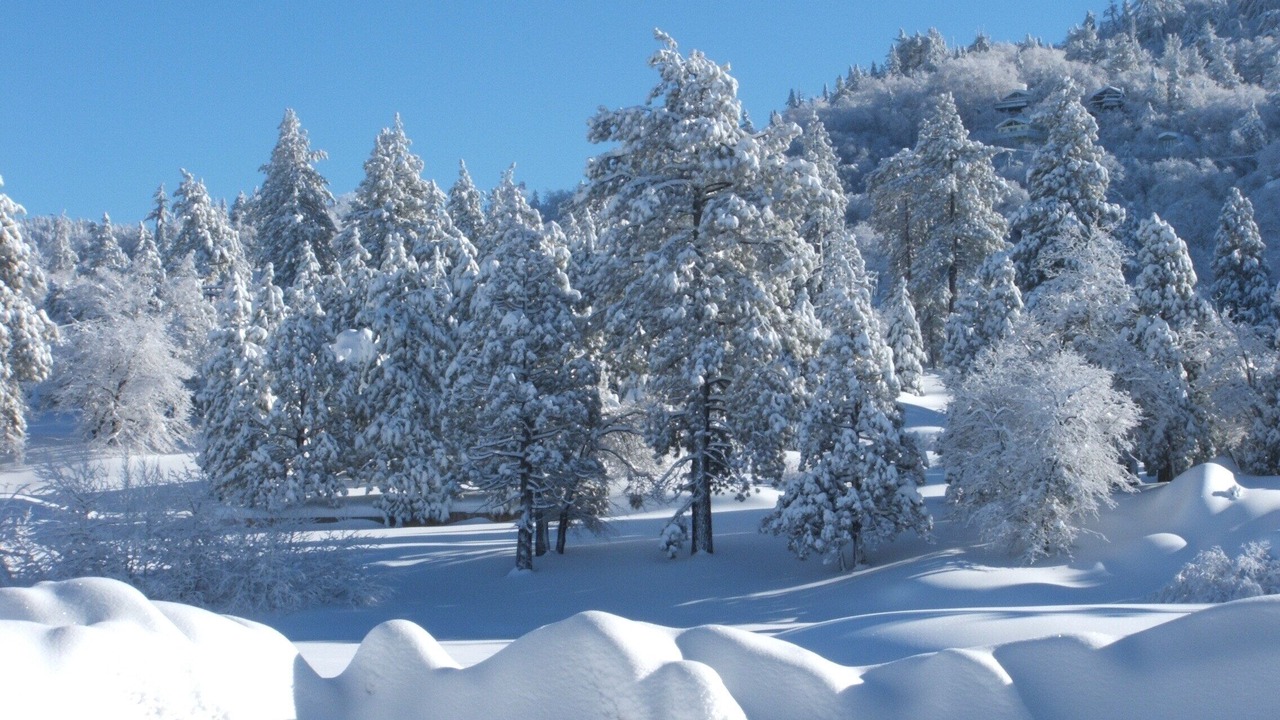 Photo of Others in Arrowbear Lake