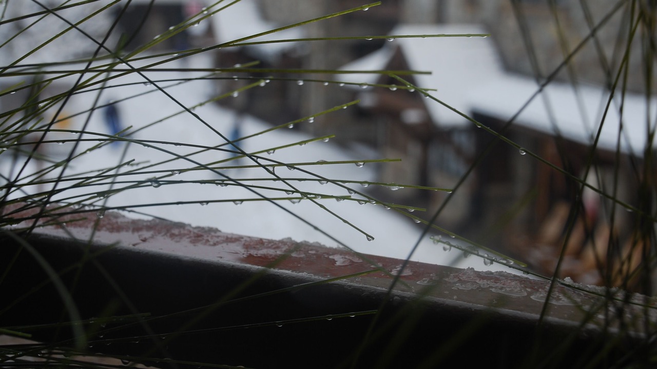 Photo of Outdoor in Truckee