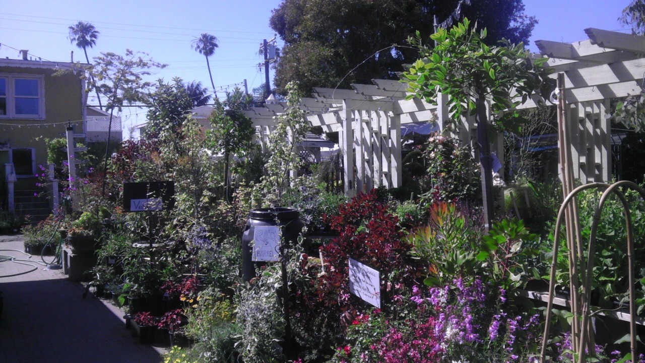 Photo of Others in Old Towne