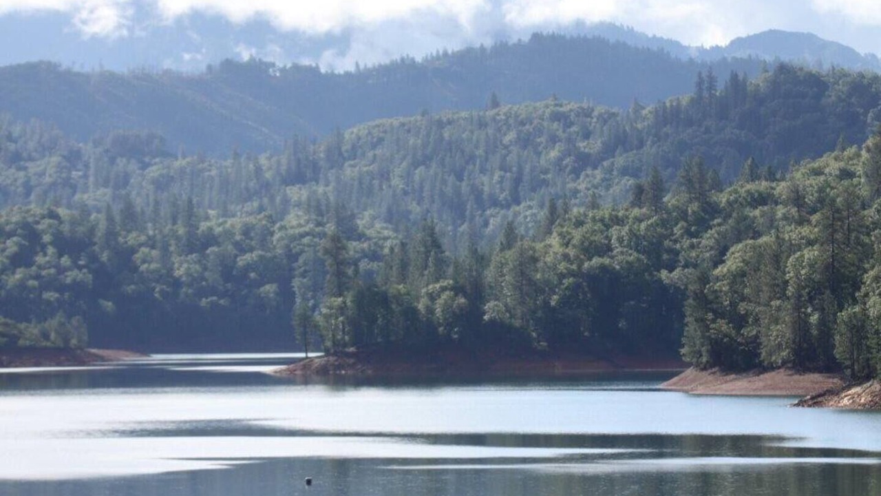 Photo of Others in Lakehead