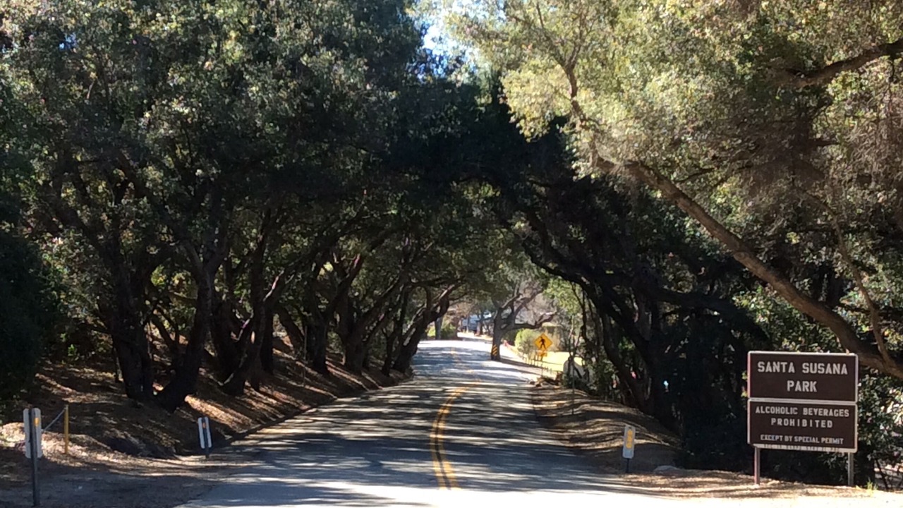 Photo of Outdoor in Simi Valley