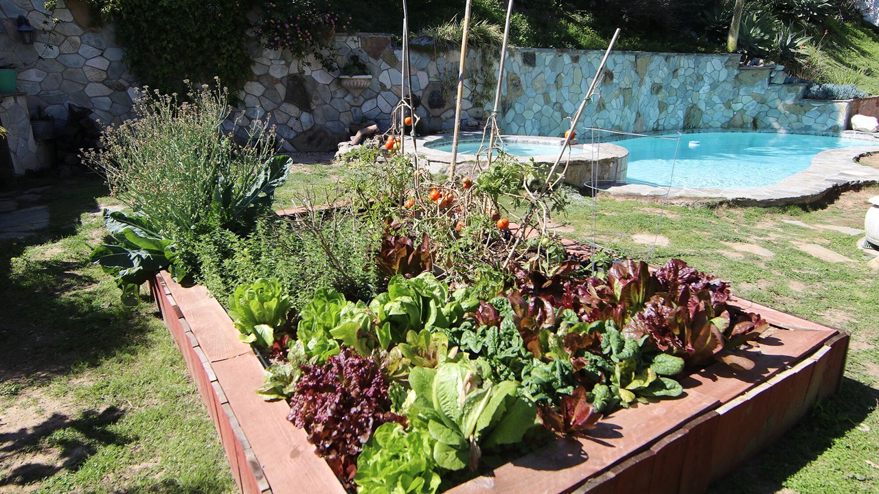 Photo of Outdoor in Fullerton