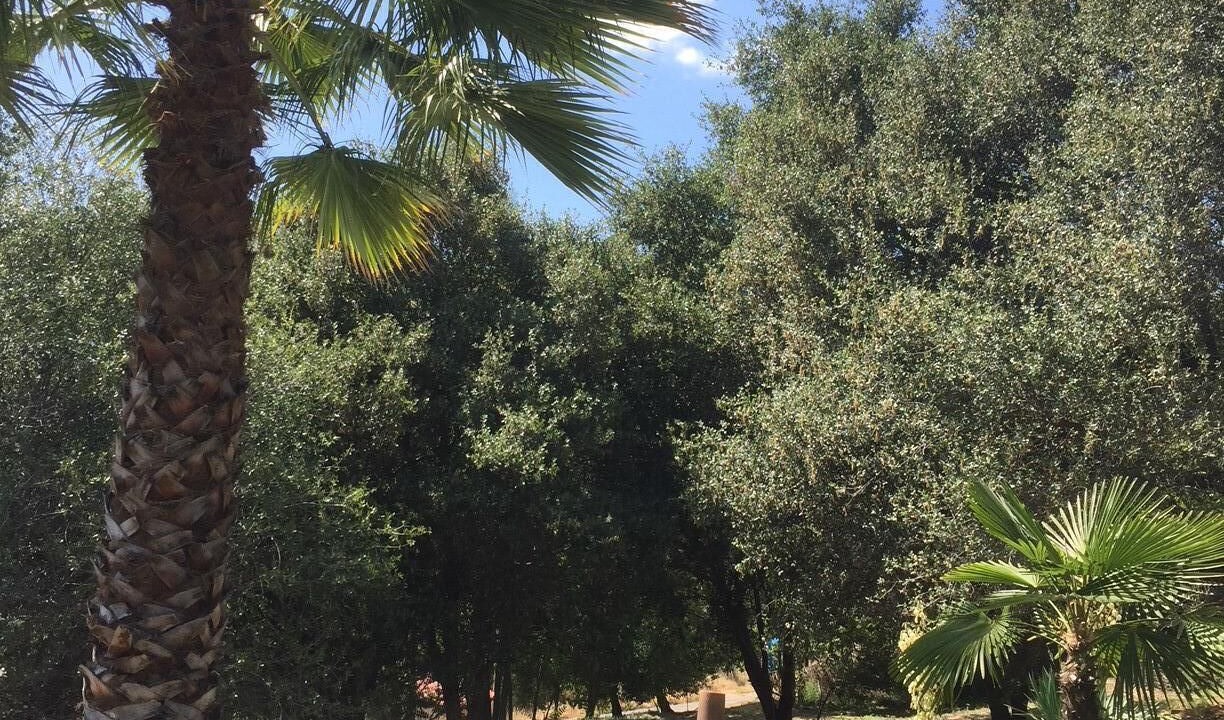 Photo of Outdoor in Mariposa