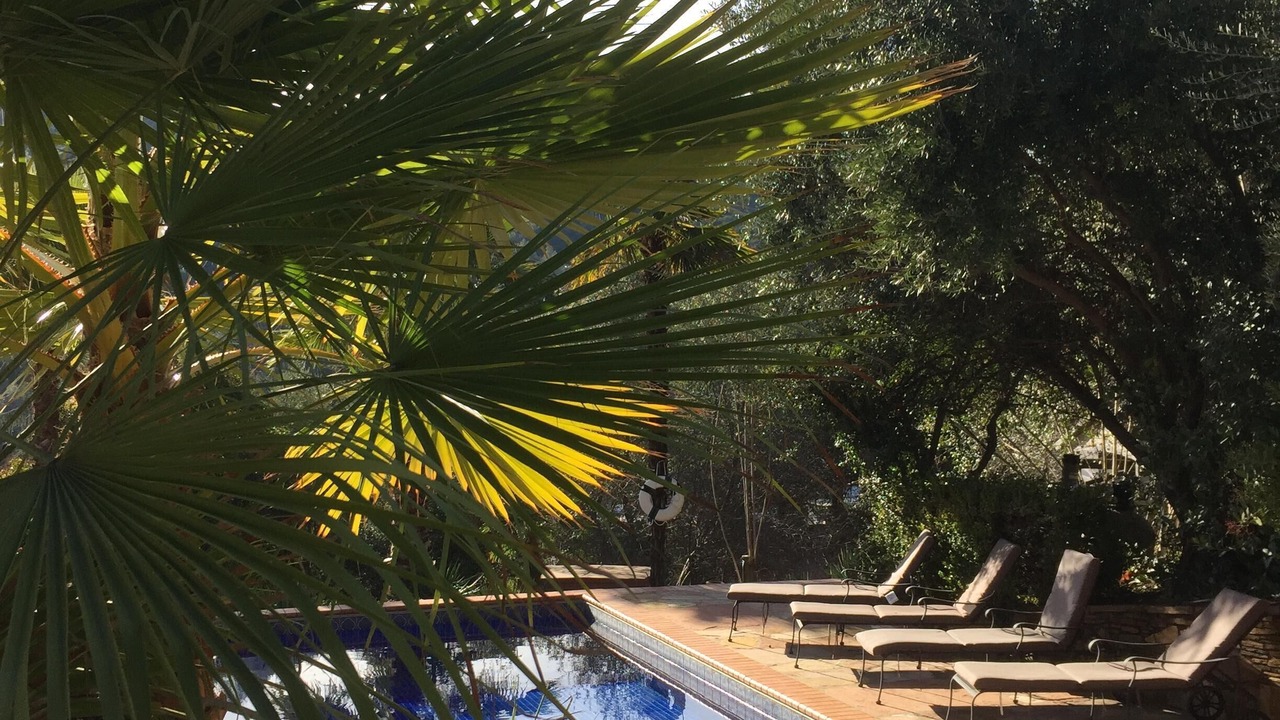 Photo of Outdoor in Mariposa