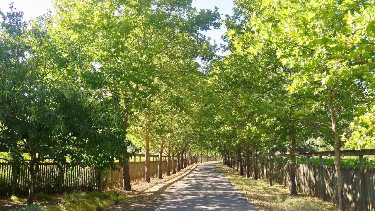Photo of Outdoor in California Wine Country