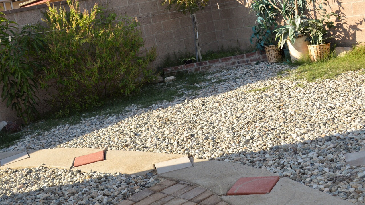 Photo of Others in Northwest Anaheim