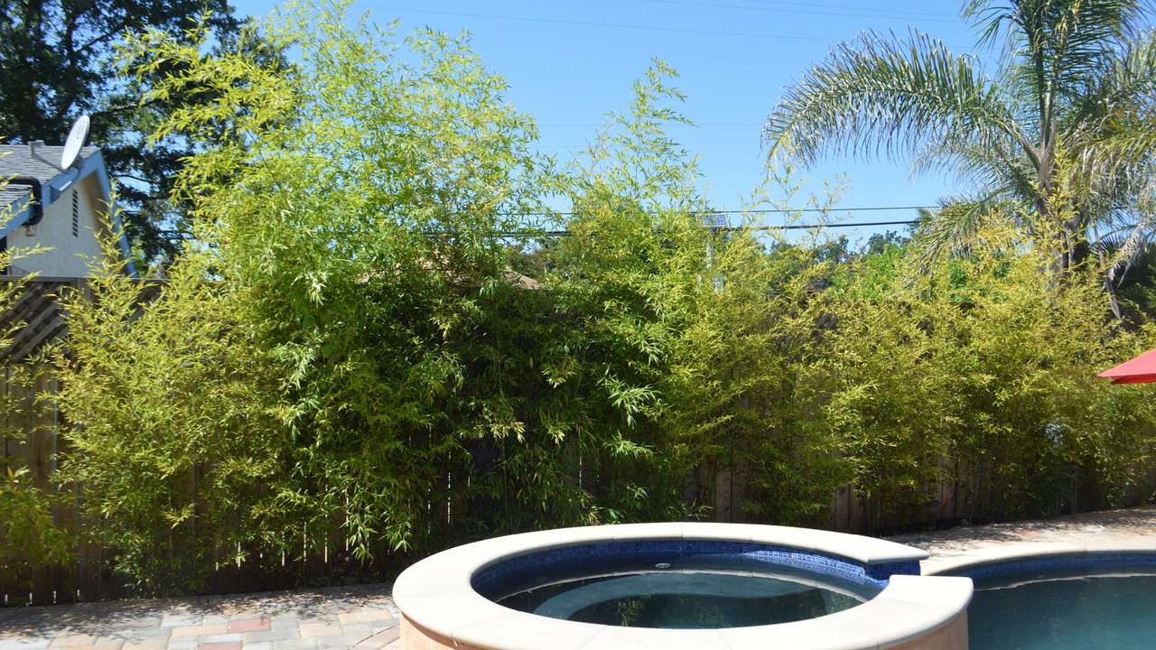 Photo of Outdoor in Sonoma