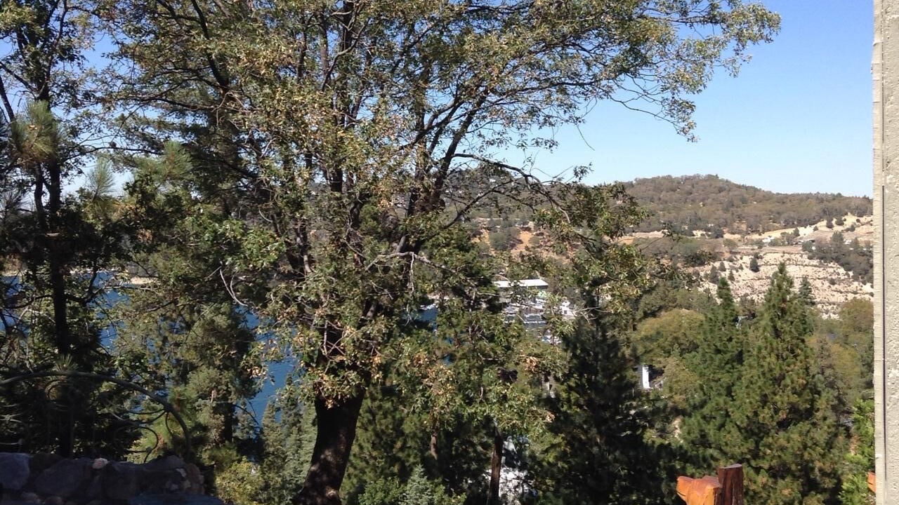 Photo of Outdoor in Cedar Glen