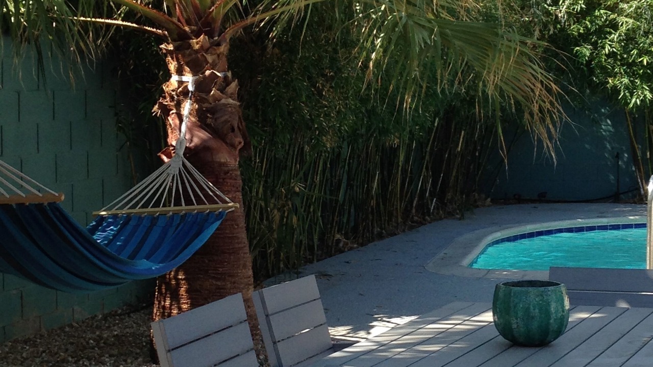 Photo of Others in Palm Springs