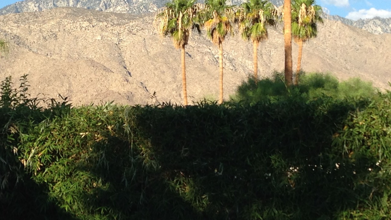 Photo of Others in Palm Springs