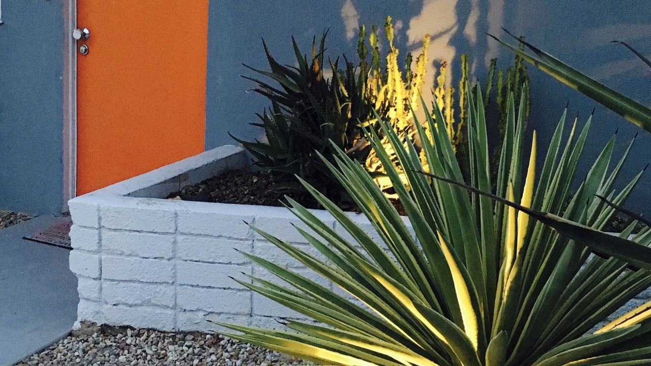 Photo of Others in Palm Springs