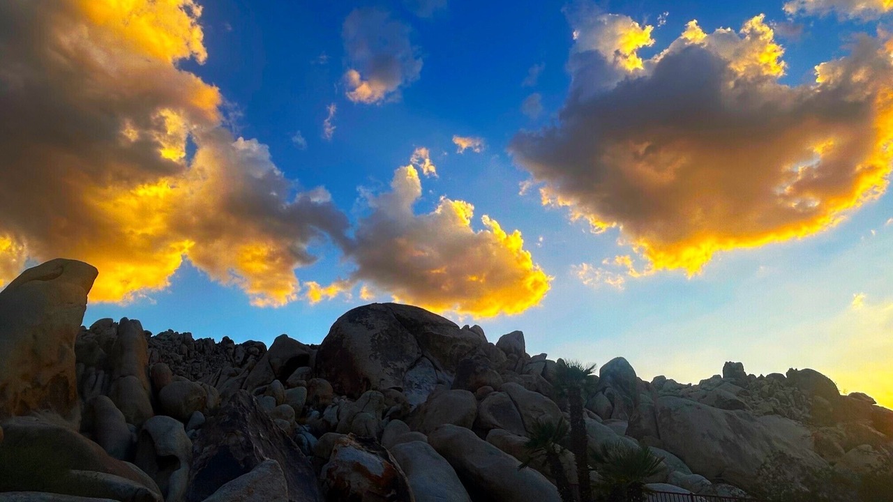 Photo of Others in Panorama Heights