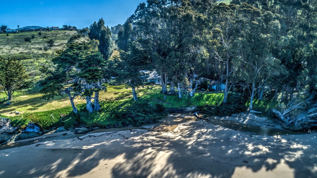 Photo of Outdoor in Carmel