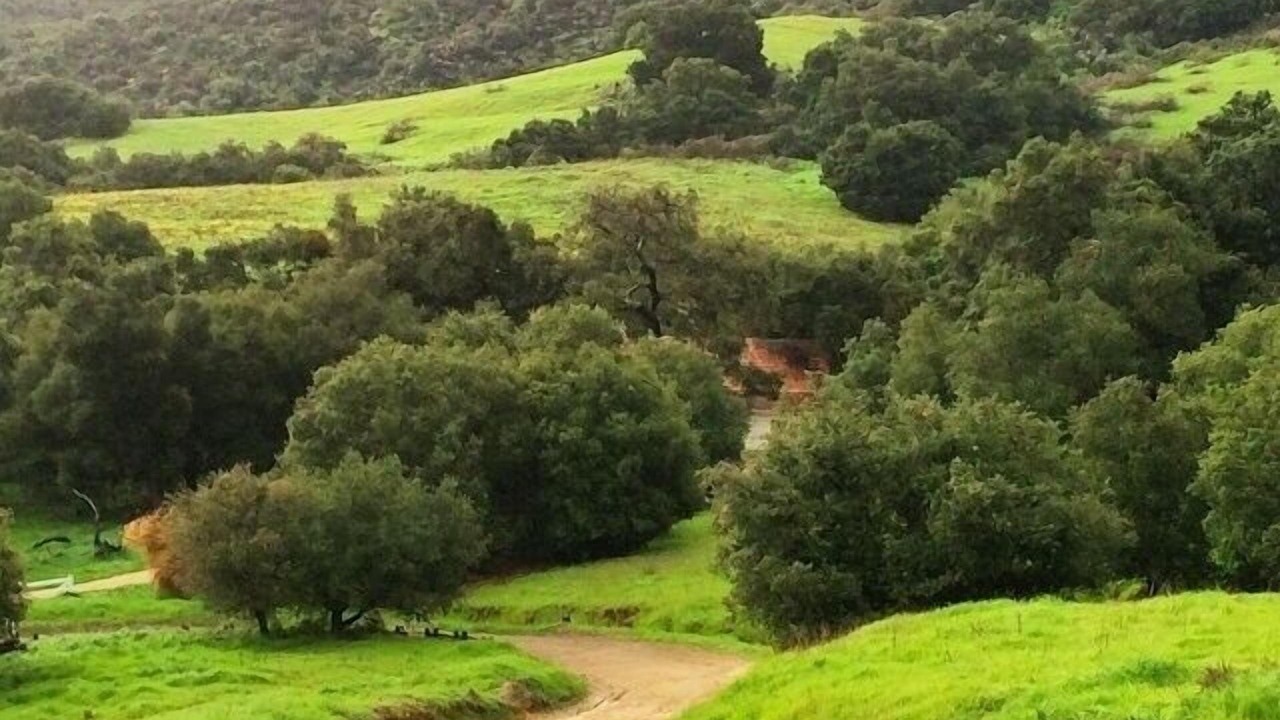 Photo of Outdoor in Topanga