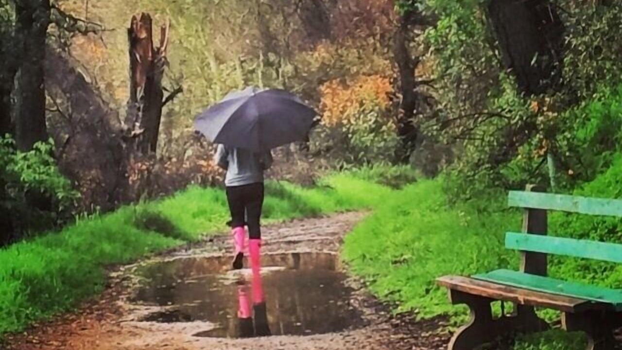 Photo of Outdoor in Topanga