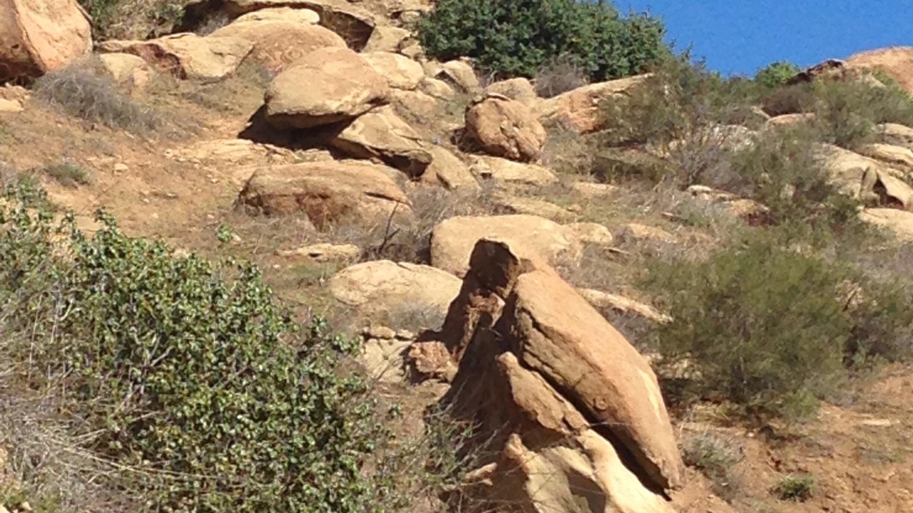 Photo of Outdoor in Topanga