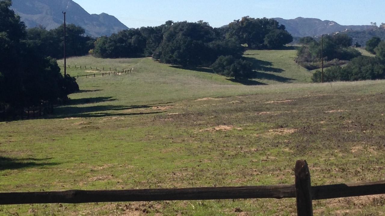 Photo of Outdoor in Topanga