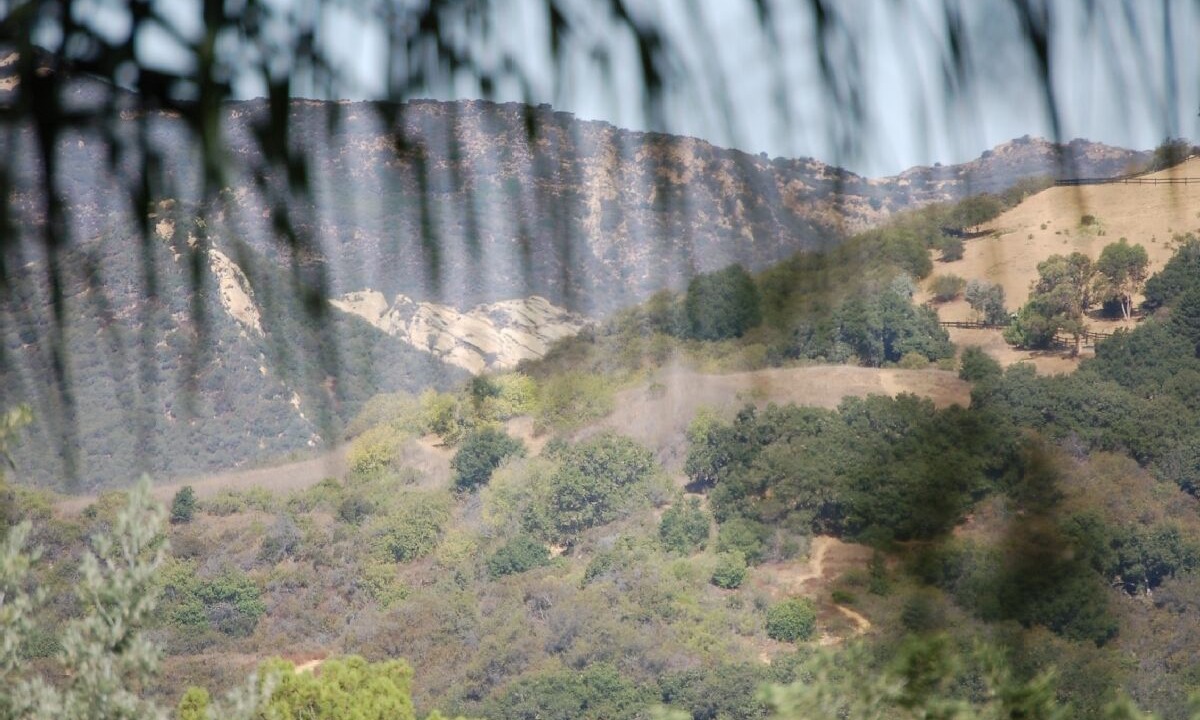 Photo of Others in Topanga