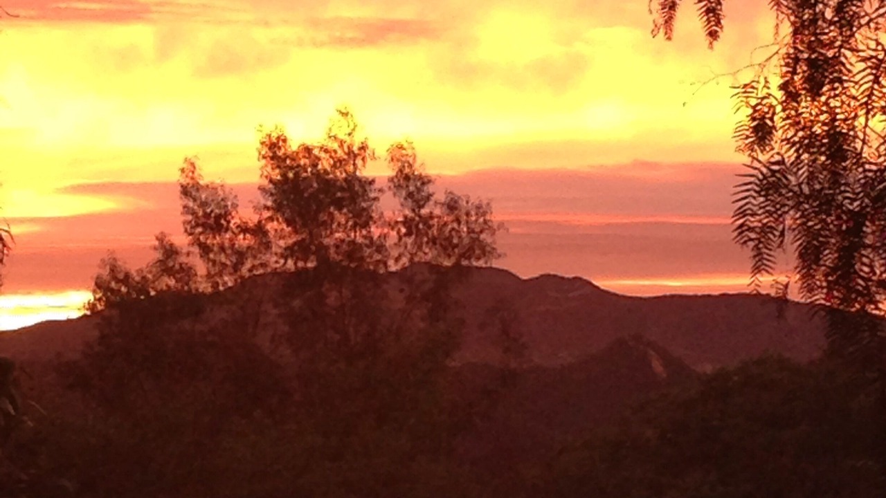 Photo of Others in Topanga