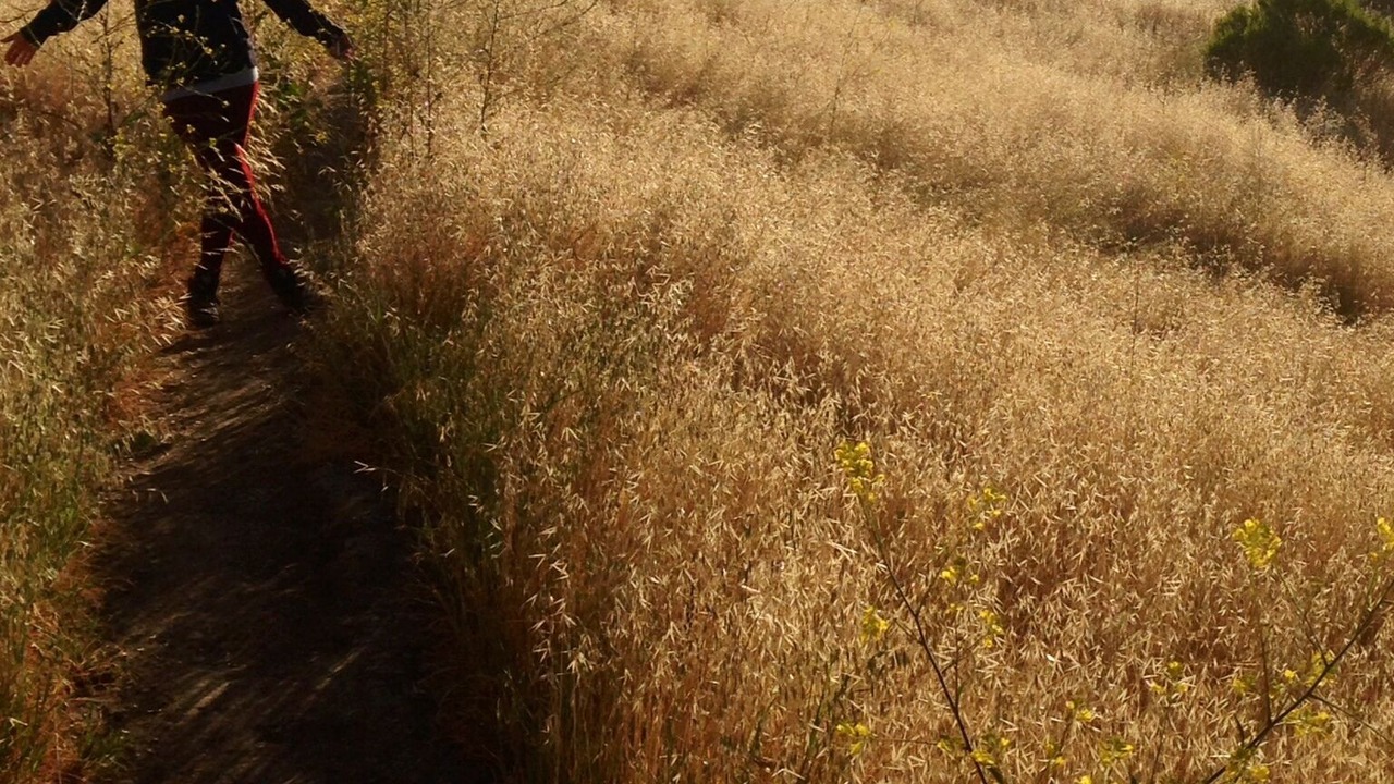 Photo of Outdoor in Topanga