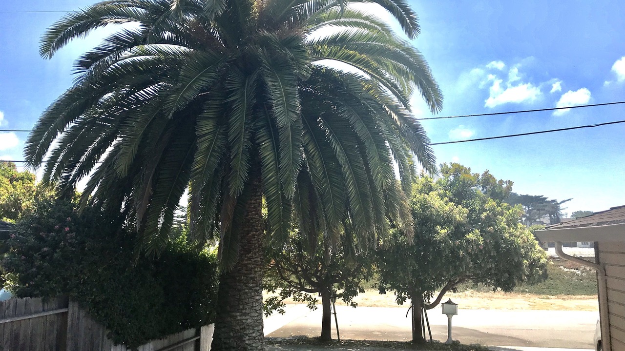 Photo of Outdoor in Marina