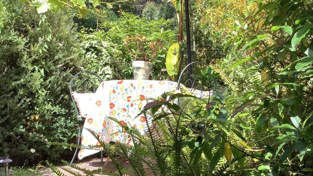 Photo of Outdoor in Carmel Highlands