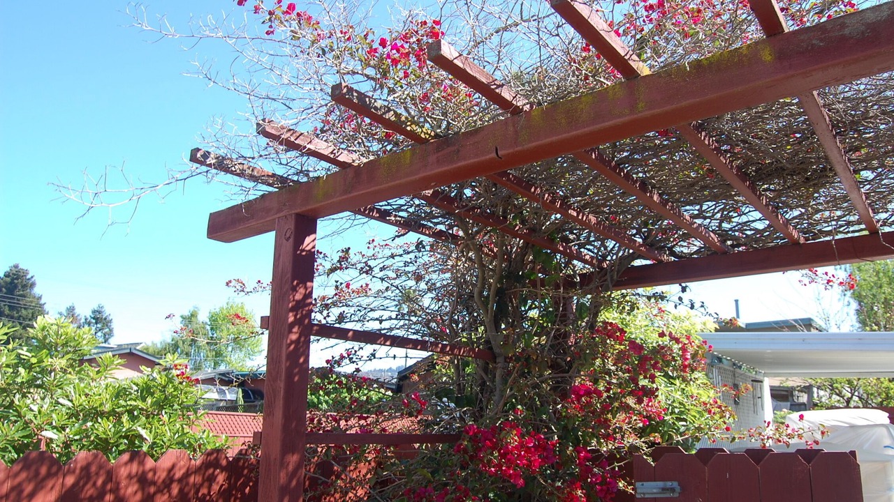 Photo of Outdoor in Northwest Berkeley