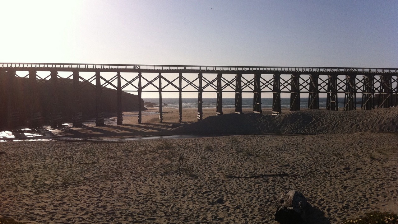 Photo of Others in Fort Bragg