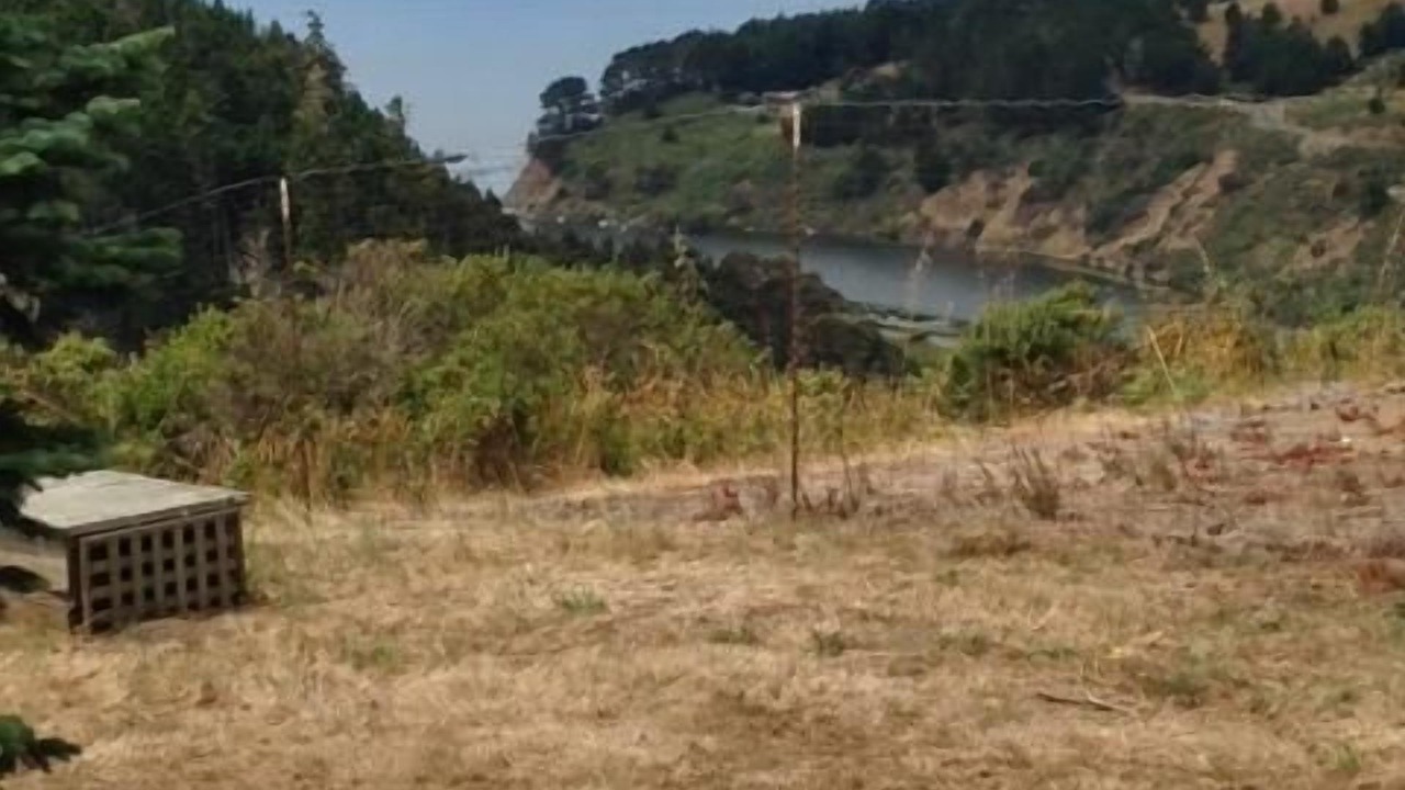 Photo of Outdoor in Albion