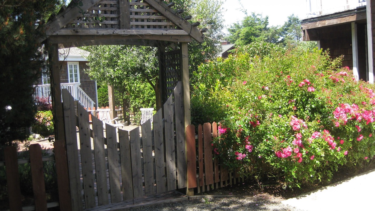 Photo of Outdoor in Albion