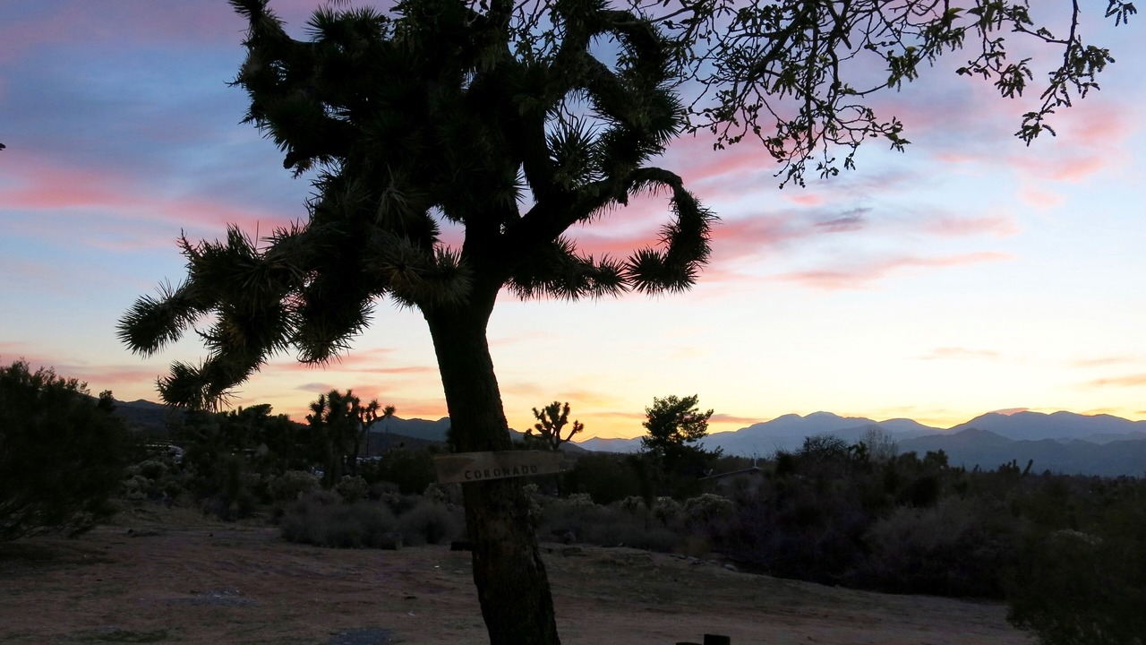 Photo of Others in Yucca Valley