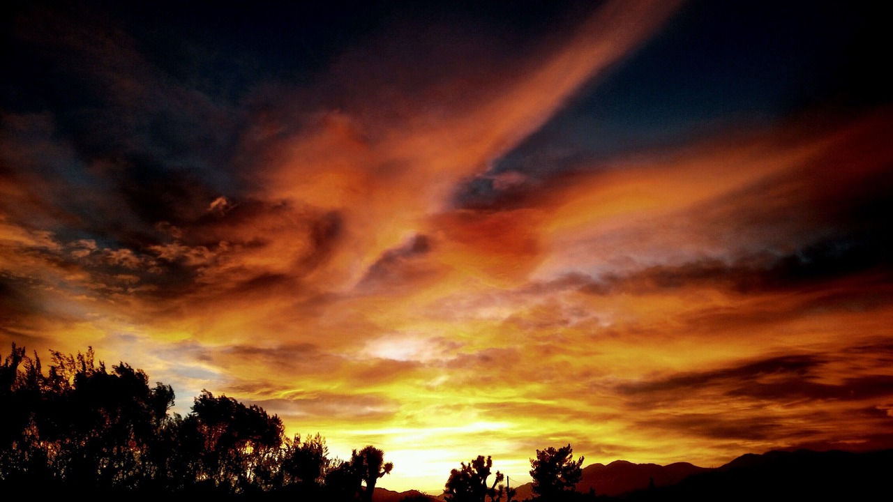 Photo of Others in Yucca Valley