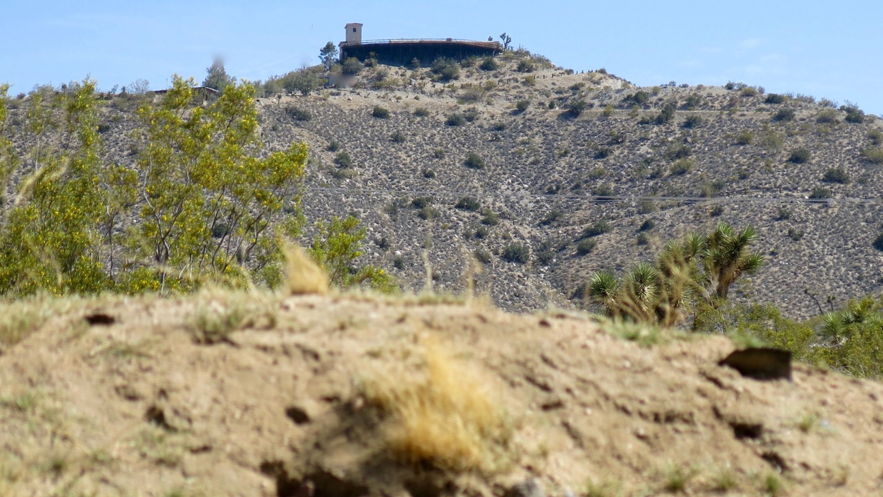 Photo of Others in Yucca Valley