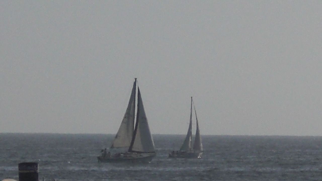 Photo of Others in Ocean Park