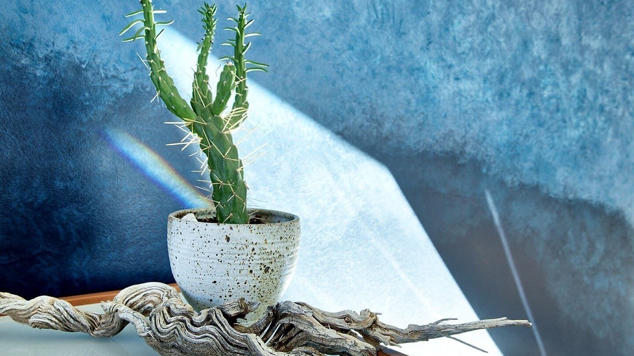 Photo of Bedroom in Joshua Tree