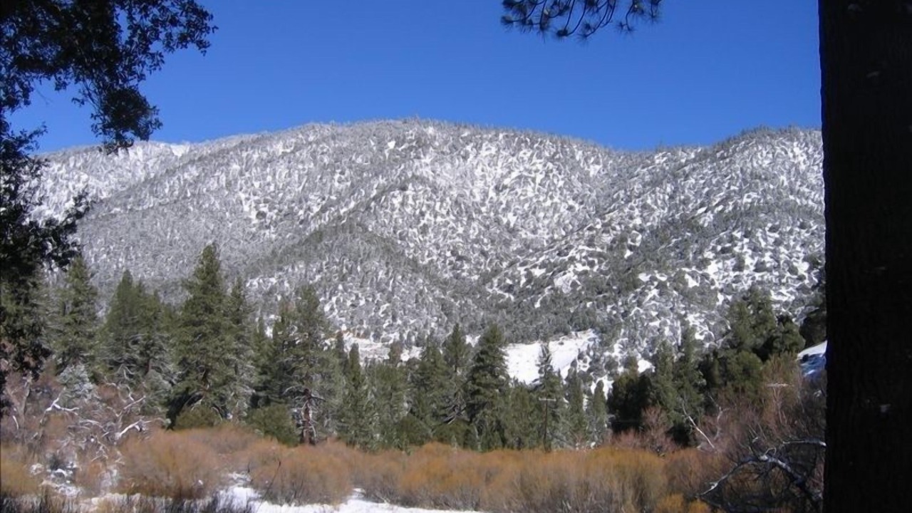 Photo of Others in Pine Mountain Club
