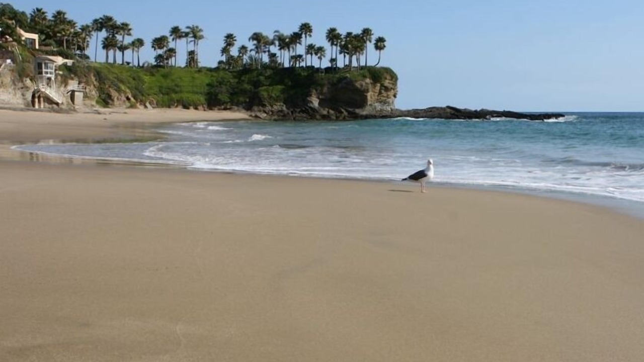 Photo of Others in Laguna Beach