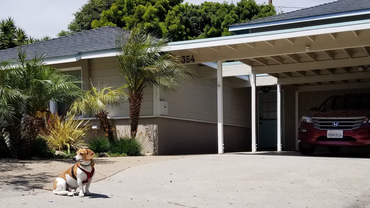 Photo of Others in East Mesa