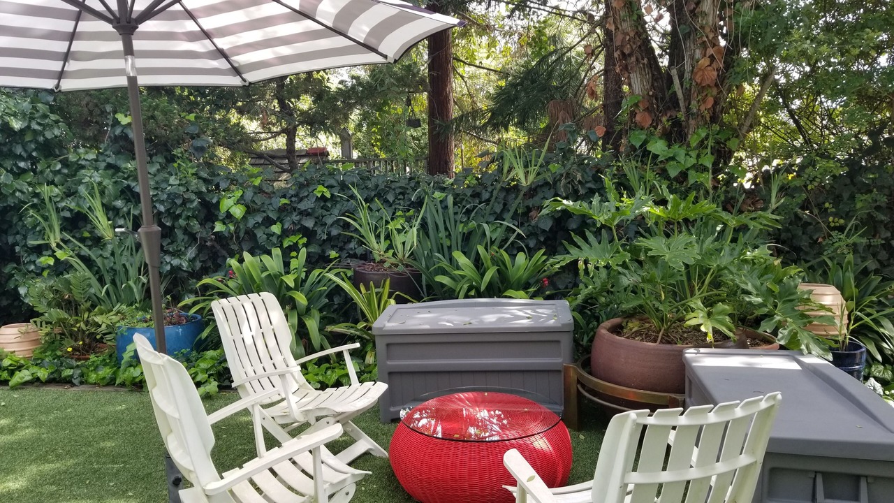 Photo of Outdoor in East Mesa