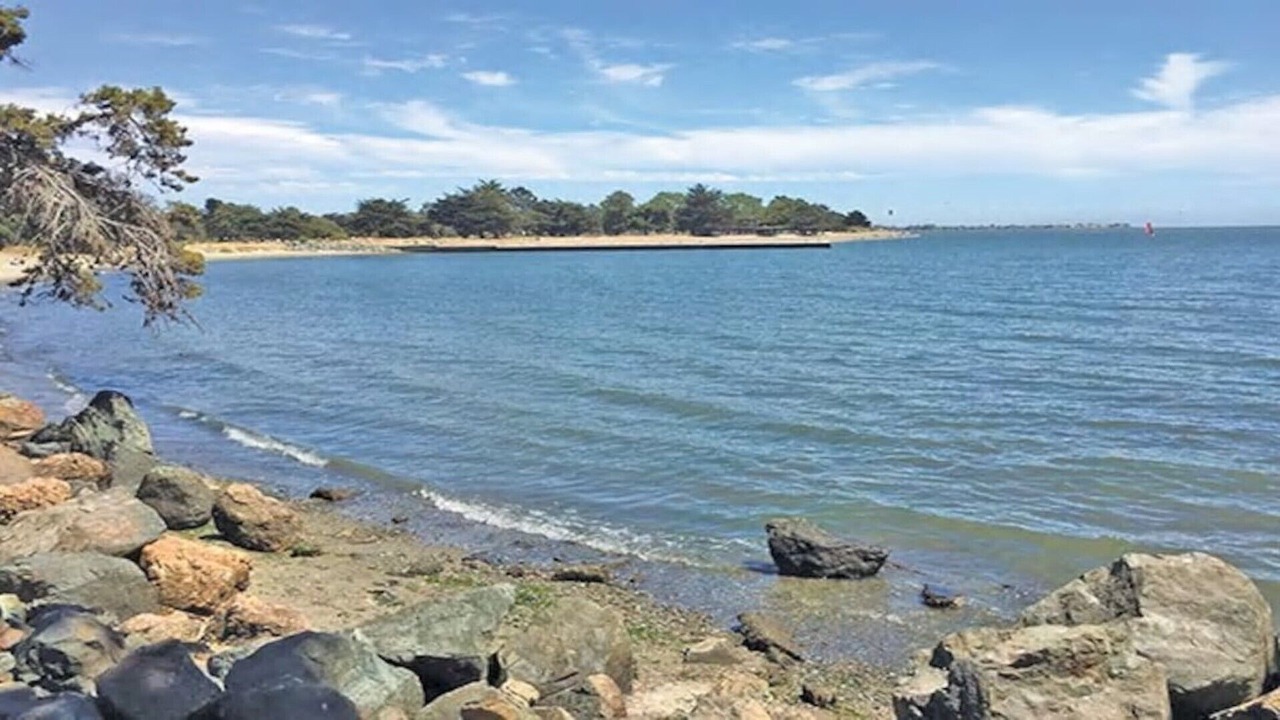 Photo of Others in Gold Coast