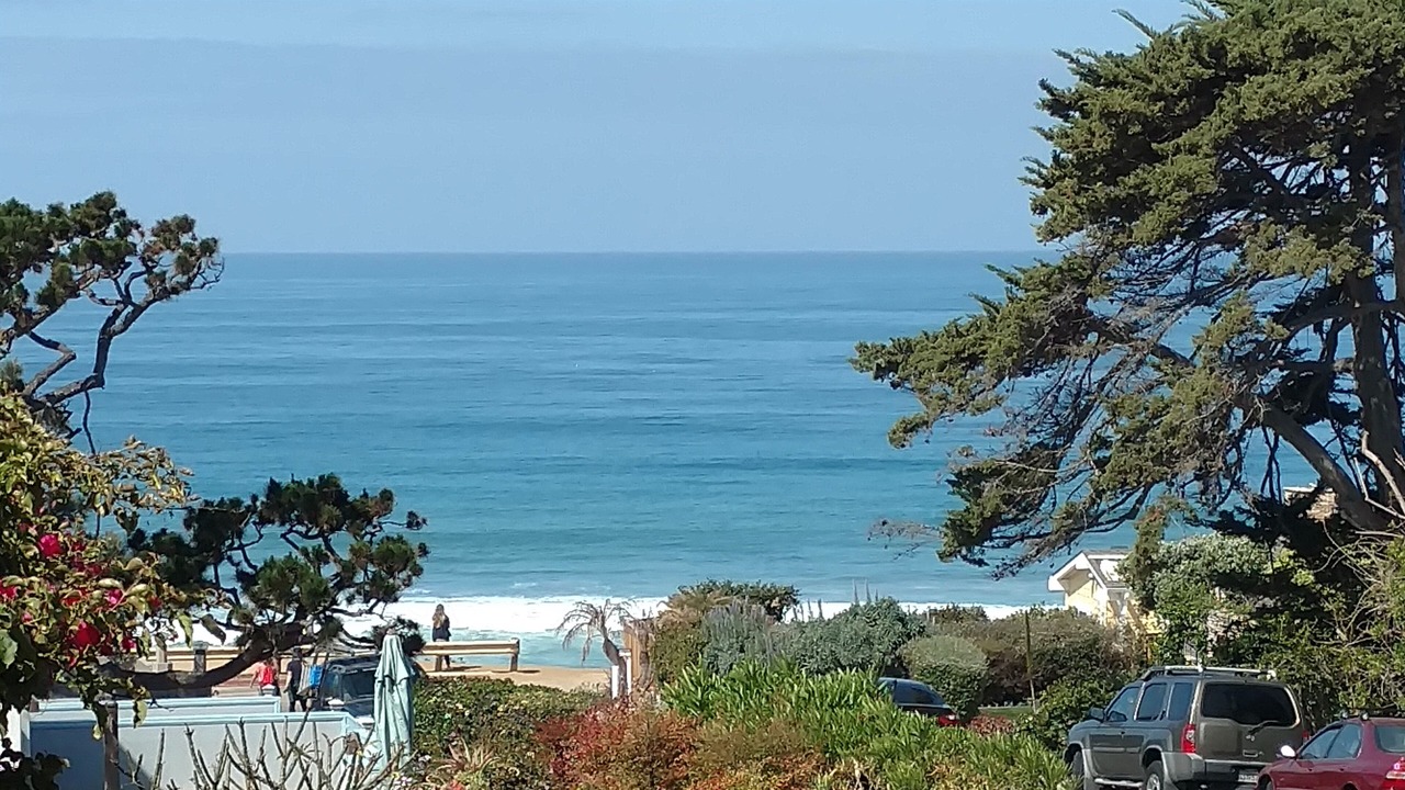 Photo of Others in Del Mar