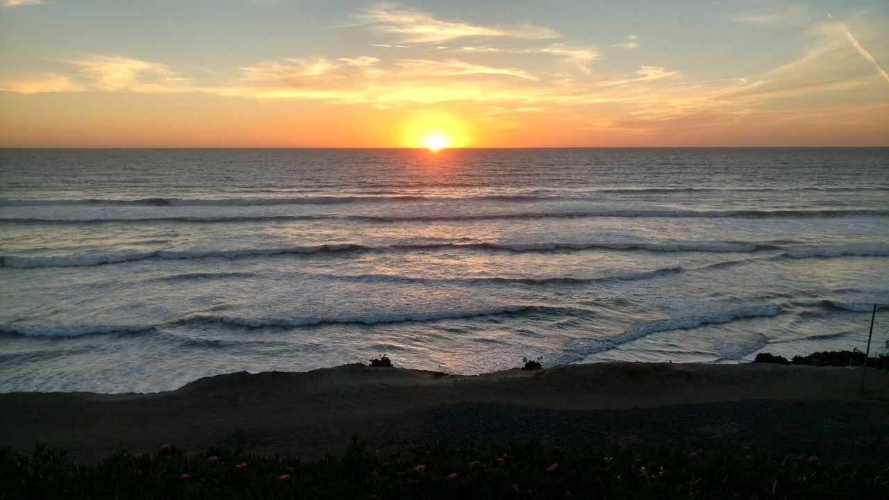 Photo of Others in Del Mar