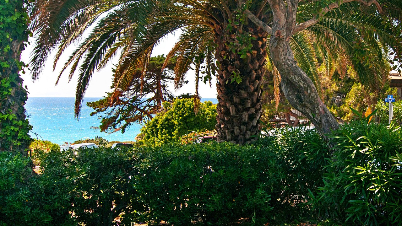 Photo of Outdoor in Del Mar