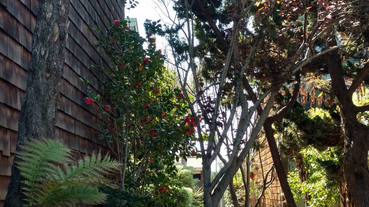 Photo of Others in Del Mar